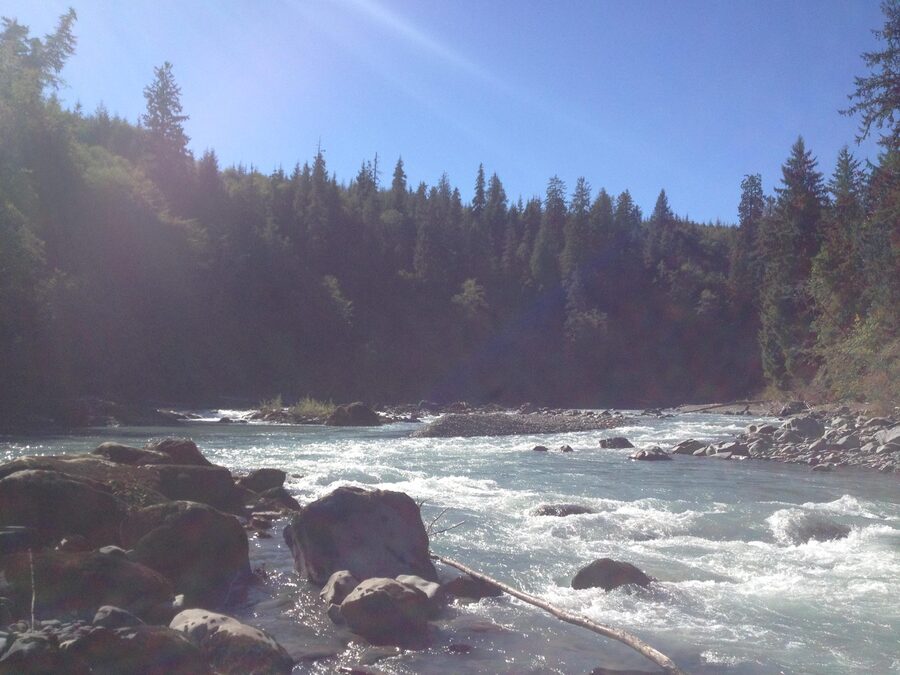Hoh Rainforest and Pacific Coast camping weekend