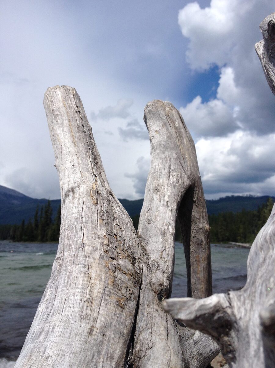 Lake Wenatchee lakeside base camp